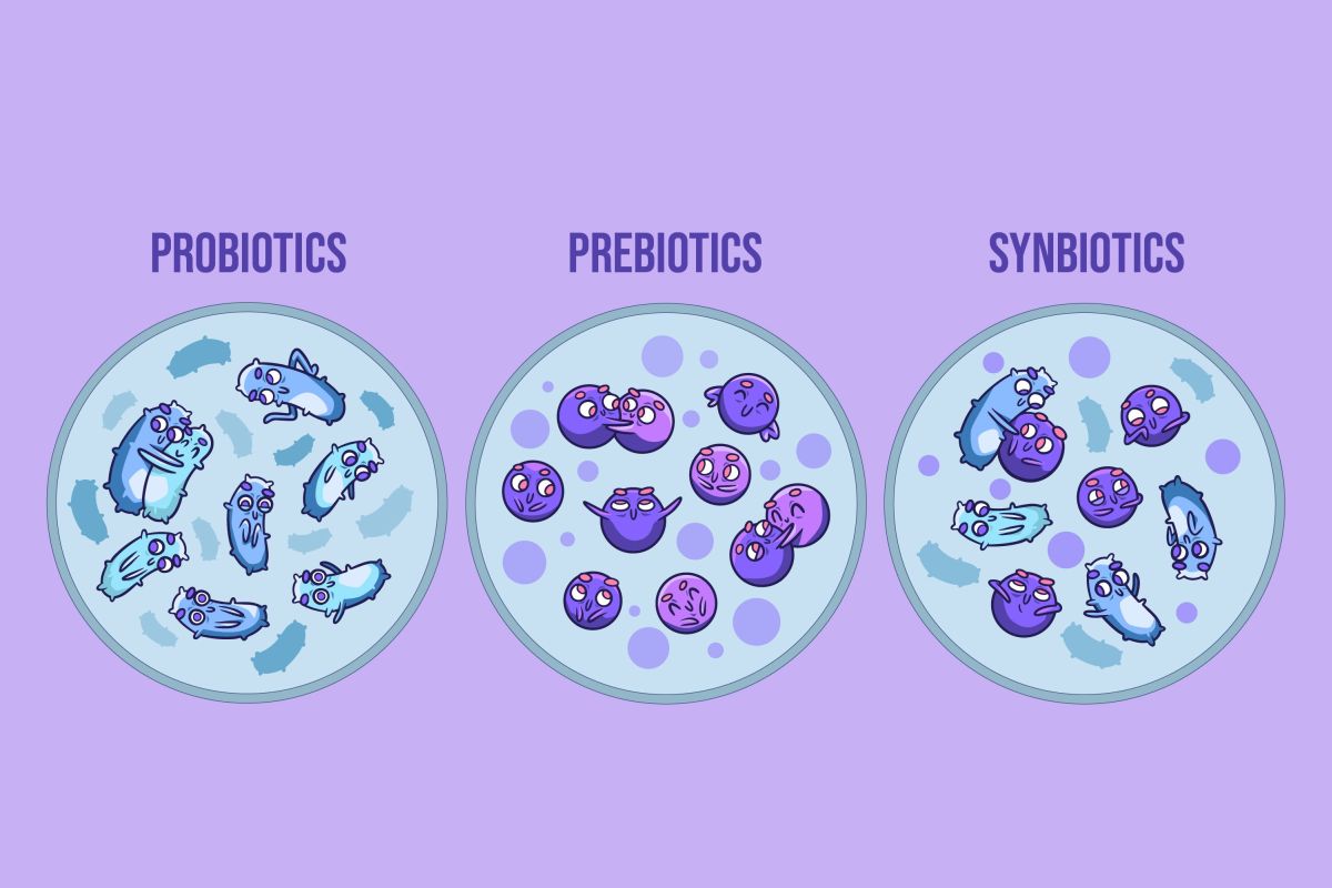 Probiotika, prebiotika, synbiotika